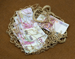 five hundred euros on a background mesh bag