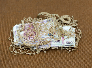 five hundred euros on a background mesh bag