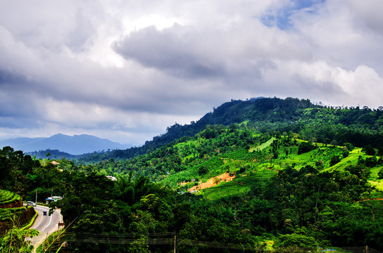 Stormy sky over the slopes of tea plantations. Nuwara Eliya. Sri Lanka. Asia.
