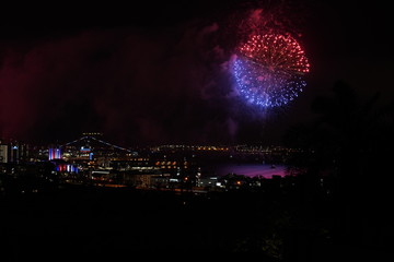 fireworks in the night sky