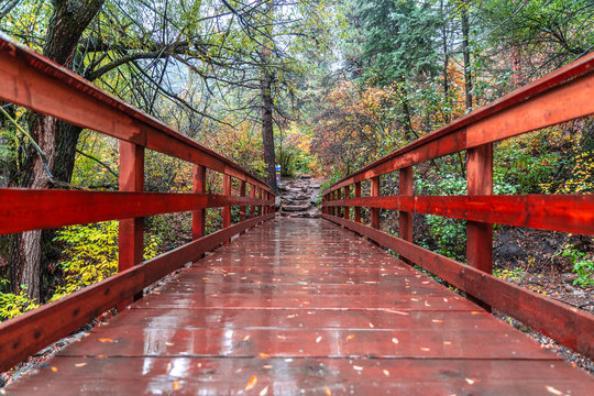Wooden pedestrian bridge after rain