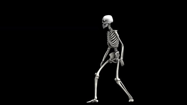 Seamless animation of a skeleton with thriller dance isolated with alpha channel. Funny halloween background.