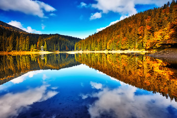 Forest lake reflection landscape. Forest lake trees in autumn season panorama