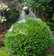 Herbst im Garten