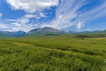Fototapeta premium A path through the Oroi Pass to Shavlinsky Lakes.