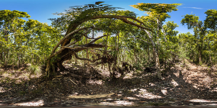 Spider Web, Bushwalk Path, Castaway Island Resort, Qalito Island, Fiji