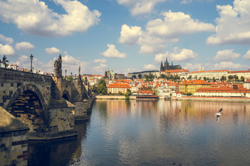 View of the Prague Castle and St. Vitus Cathedral from the Vltava River,Prague, Czech Republic