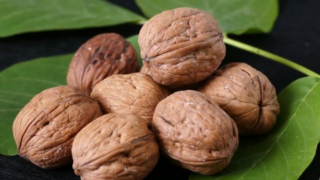 dry shelled walnut and green walnut leaves, on black background


