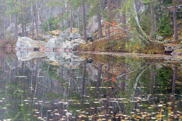 Gray autumn day in Repovesi National Park