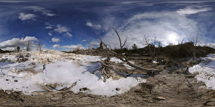Geyser Area Near Mammoth Hot Springs, Yellowstone National Park, Wyoming, United States