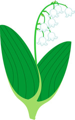 Stylized Lily of the valley or Convallaria majalis with white flowers and two green leaves isolated on white background