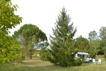 Fototapeten Wohnmobil mit offenem Vorzelt und Campingstühlen auf dem Naturcampingplatz © henkbouwers