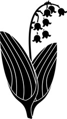 Black silhouette of lily of the valley with flowers and leaves