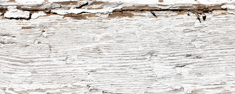 Fototapeta Wood texture. Abstract background