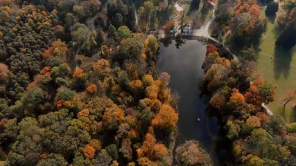 drone flight over autumn forest
