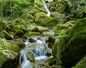 rivère lonnnguue