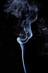 Stick of wood of palo santo on black background