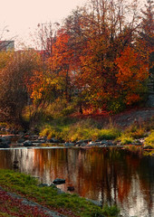 Autumn by the River