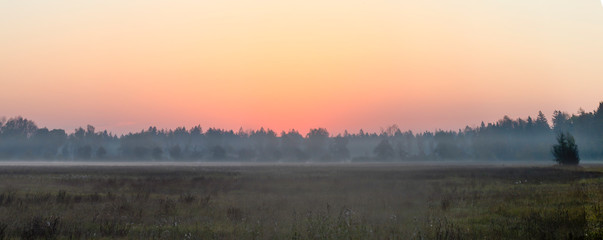 Panorama of a sunrise at the forest edge over a foggy field