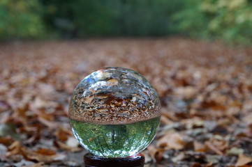 Wald