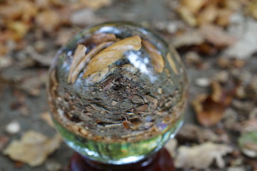 Wald