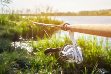 Close up fishing rod feeder and reel mounted on the holders on the river bank with green reeds with...