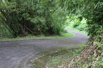 Winding Road in Grenada