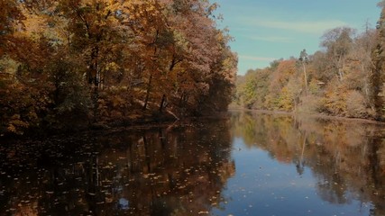 drone shot above water surface in autumn forest
