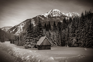 View at lonely house in the forest at mountain . Image in black and white color