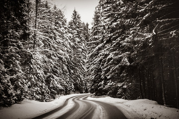 View at winter mountain road throught the forest . Image in black and white color