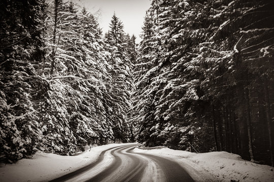 Fototapeta View at winter mountain road throught the forest . Image in black and white color