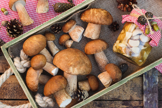 Raw white mushrooms, pine cones and decorations