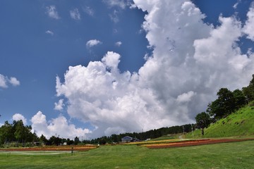 初夏の富士見高原