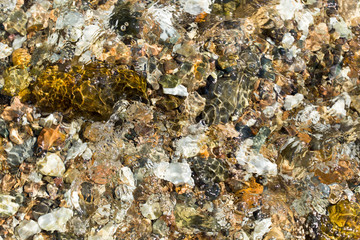 colorful rolling stones sea bottom pattern musk seaweed