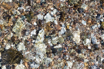 colorful rolling stones sea bottom pattern musk seaweed