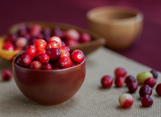 Thanksgiving Cooking