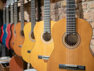 a row of acoustic guitars at music store