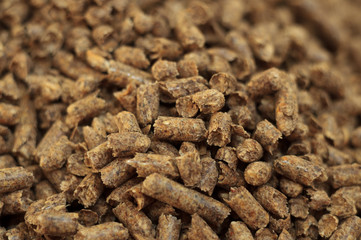 Fuel wood pellet close-up. A source of alternative clean energy. A lot of pellet. Natural fuel and energy of future.