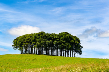 Cookworthy Knapp is a copse near the A30 trunk road in Lifton Devon. A few miles from the Cornish border, it is well known to returning Cornish people as confirmation that they are nearly home