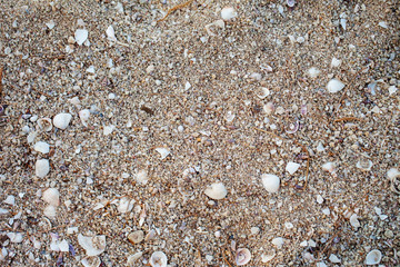 Colorful sea pebbles and sand. rough sea stones and sand, gravel texture of nature background and wallpaper. can be use for greeting card, advertizing, backdrop and board