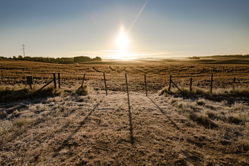 Fenced farmer's field