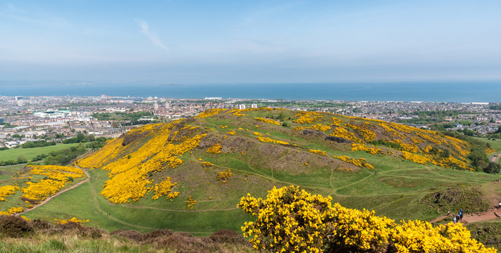 Holyrood pard edinburgh