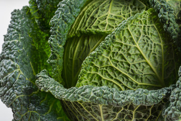 Fresh whole raw green savoy cabbage vegetable
