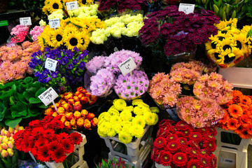 Amsterdam floral market