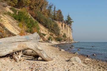Fototapeta na wymiar Cliff by the Baltic Sea in Eastern Europe. Sand cliff on the seacoast.