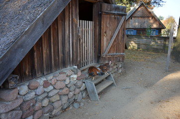 Kurnik © Rafa