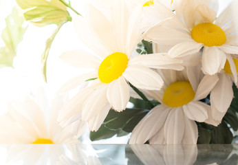 bouquet of white silk daisies