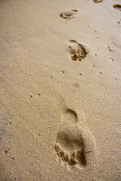 footprint on beach sand