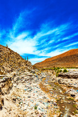 View of the mountain landscape in the Atacama, Chile. Copy space for text. Vertical.