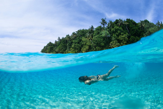 Tropical diving
